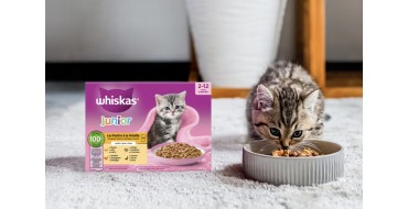 Whiskas: &Eacute;chantillon gratuit de nourriture Whiskas pour chatons