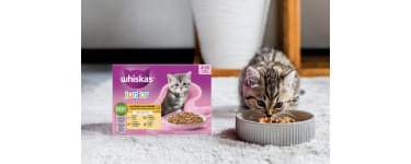 Whiskas: &Eacute;chantillon gratuit de nourriture Whiskas pour chatons