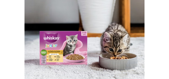 Whiskas: &Eacute;chantillon gratuit de nourriture Whiskas pour chatons