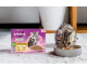 Whiskas: Échantillon gratuit de nourriture Whiskas pour chatons