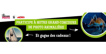 Le Journal de Mickey: 1 journ&eacute;e sur le voilier Blue Panda du WWF + cadeaux &agrave; gagner