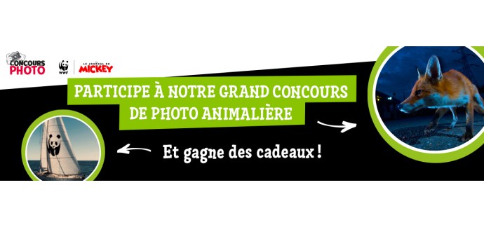 Le Journal de Mickey: 1 journ&eacute;e sur le voilier Blue Panda du WWF + cadeaux &agrave; gagner