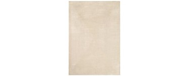 Conforama: Tapis SOCA 200x290 cm beige &agrave; 109,99&euro; (au lieu de 219,99&euro;)