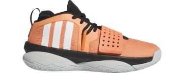 Kickz: adidas Dame 8 Extply Orange &agrave; 67,96&euro; (au lieu de 129,95&euro;)
