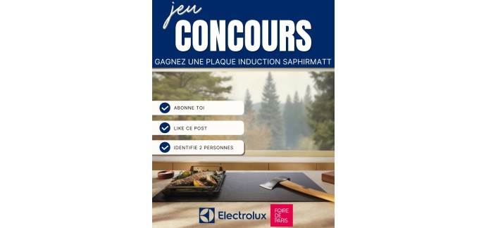 Electrolux: 1 plaque induction SaphirMatt Electrolux &agrave; gagner