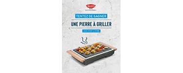Le Gaulois: 1 pierre &agrave; griller Le Gaulois Professionnel &agrave; gagner