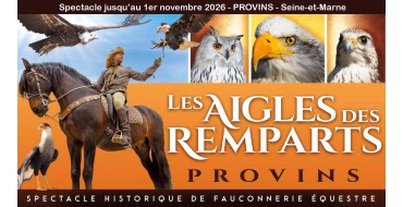 Notre Temps: 5 x 2 entr&eacute;es pour Les Aigles des Remparts &agrave; Provins &agrave; gagner