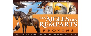 Notre Temps: 5 x 2 entr&eacute;es pour Les Aigles des Remparts &agrave; Provins &agrave; gagner