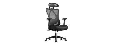 JoyBuy: Chaise de bureau ergonomique SONGMICS - maille, soutien lombaire, r&eacute;glable &agrave; 114,99&euro;
