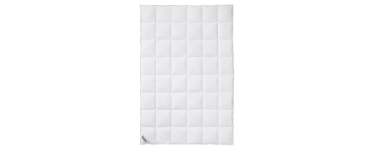LIDL: Couette &agrave; cassettes Fj&ouml;dur - 70% plumes 30% duvet, 135x200cm &agrave; 49.99&euro; (au lieu de 99.9&euro;)