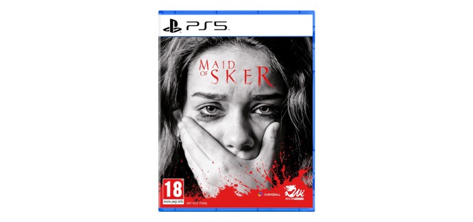 Amazon: Maid of Sker (PS5) &agrave; 18,69&euro; (au lieu de 29,99&euro;)