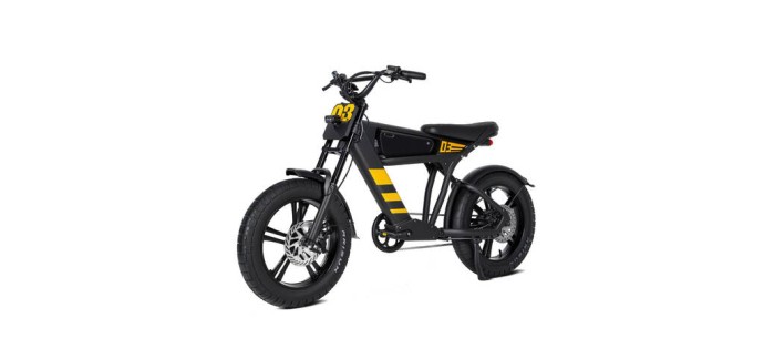 JoyBuy: Vélo électrique Mangosteen FT03 250W - batterie 48V 18,2Ah, autonomie 75km à 959,99€