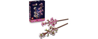 Amazon: LEGO® Botanicals Cherry Blossoms (40725) à 11,99€ (au lieu de 14,99€)