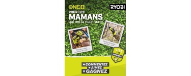 Ryobi: 1 lot Ryobi s&eacute;cateur + &eacute;lagueur Brushless 18V &agrave; gagner