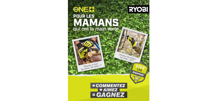 Ryobi: 1 lot Ryobi sécateur + élagueur Brushless 18V à gagner