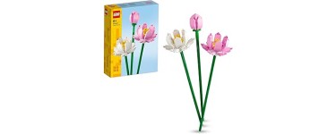 Amazon: LEGO Botanicals Les Fleurs de Lotus (40647) à 9,99€ (au lieu de 14,99€)