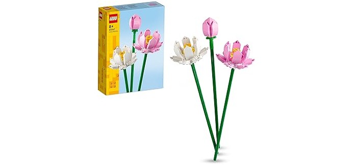 Amazon: LEGO Botanicals Les Fleurs de Lotus (40647) à 9,99€ (au lieu de 14,99€)