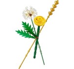Amazon: LEGO® Botanicals Les Fleurs des Champs (30701) à 6,19€ (au lieu de 7,06€)