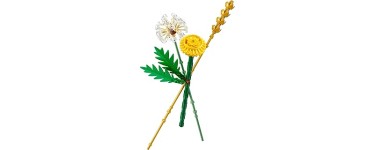 Amazon: LEGO® Botanicals Les Fleurs des Champs (30701) à 6,19€ (au lieu de 7,06€)