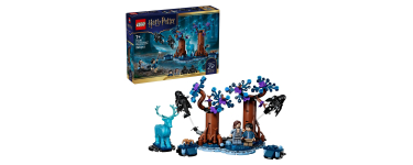 Amazon: LEGO® Harry Potter™ La Forêt interdite  Expecto Patronum (76475) à 23,99€ (au lieu de 30,02€)