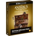 Fnac: Les Animaux Fantastiques 1 à 3 (4K) à 41,99€ (au lieu de 59,99€)