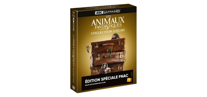 Fnac: Les Animaux Fantastiques 1 à 3 (4K) à 41,99€ (au lieu de 59,99€)