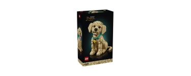 Cdiscount: LEGO Icons 11384 Golden Retriever (PS5) à 99,99€ (au lieu de 139,99€)