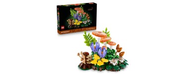 Amazon: LEGO® Botanicals Les champignons des bois (11505) à 59,9€ (au lieu de 69,9€)