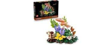 Amazon: LEGO® Botanicals Les Champignons des Bois (11505) à 74,97€ (au lieu de 79,99€)