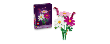JoyBuy: LEGO® Botanicals Les cosmos (11514) à 11,9€ (au lieu de 14,99€)