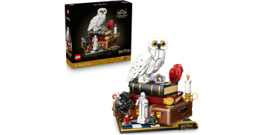 Amazon: LEGO 76466 Harry Potter L&rsquo;&eacute;cole des sorciers Collector &agrave; 107,29&euro; (au lieu de 159,99&euro;)