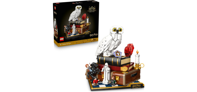 Amazon: LEGO 76466 Harry Potter L’école des sorciers Collector à 107,29€ (au lieu de 159,99€)