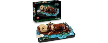 Amazon: LEGO® Ideas Les Loutres Câlines (21366) à 63,06€ (au lieu de 109,99€)