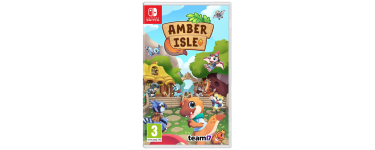 Fnac: AMBER ISLE (Switch) à 17,5€ (au lieu de 34,99€)