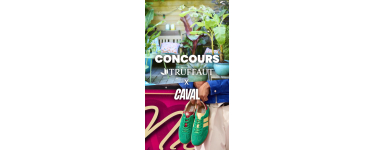 Truffaut: 1 bon d'achat 150€ Truffaut + 150€ Caval (valeur 300€) à gagner
