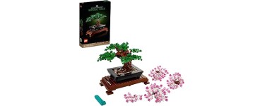 Amazon: LEGO® Bonsaï (10281) à 36,90€ (au lieu de 49,99€)