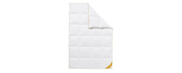 LIDL: Balette Couette à cassettes en duvet d'oie 90% - 135x200 cm à 77,4€ (au lieu de 284,99€)