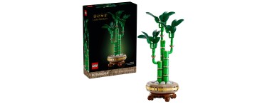 Amazon: LEGO® Botanique Le Bambou de la Chance (10344) à 16,99€ (au lieu de 19,99€)