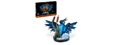Amazon: LEGO® Icons Le Martin-Pêcheur (10331) à 29,99€ (au lieu de 43,49€)