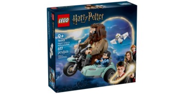 Amazon: Lego Harry Potter Moto de Hagrid 75953 à 29,99€ (au lieu de 49,99€)