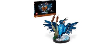 Amazon: LEGO® Icons Le Martin-pêcheur (10331) à 29,99€ (au lieu de 49,99€)