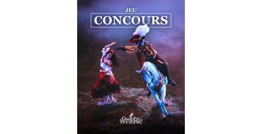 Puy du Fou: 2 billets adulte avec Pass Émotion pour 1 journée au Puy du Fou à gagner