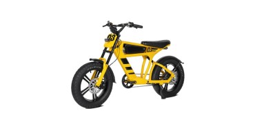 JoyBuy: Mangosteen FT03 Vélo électrique 250W - Batterie 48V 18,2Ah, autonomie 75km, pneus 20x4,5" à 816€