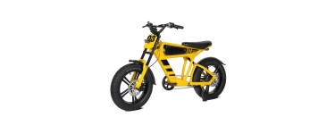 JoyBuy: Mangosteen FT03 Vélo électrique 250W - Batterie 48V 18,2Ah, autonomie 75km, pneus 20x4,5" à 816€