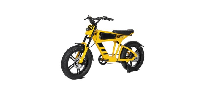 JoyBuy: Mangosteen FT03 Vélo électrique 250W - Batterie 48V 18,2Ah, autonomie 75km, pneus 20x4,5" à 816€