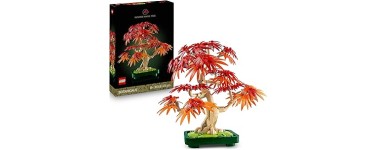 Amazon: LEGO® Botanicals Bonsaï d’Érable Rouge du Japon (10348) à 37,9€ (au lieu de 41,37€)