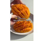 The Bradery: 1 carte cadeau Mango de 500€ à gagner