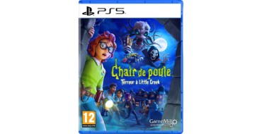 Amazon: Chair De Poule Terreur à Little Creek (PS5) à 19,99€ (au lieu de 39,99€)