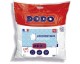 Cdiscount: Lot de 2 Oreillers Médium Dodo l'authentique - 60 x 60 cm à 14,99€ (au lieu de 29,99€)