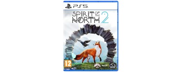 Fnac: Spirit of the North 2 (PS5) à 17,49€ (au lieu de 34,99€)